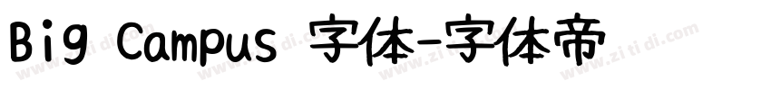 Big Campus 字体字体转换